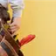Handyman repair service in Boulder, CO for home fixes and improvements